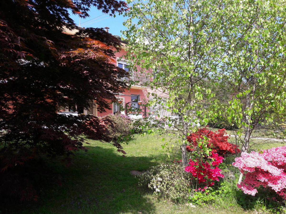 מאינה La Rosa Tra I Laghi B&B מראה חיצוני תמונה